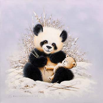 Panda & Teddy